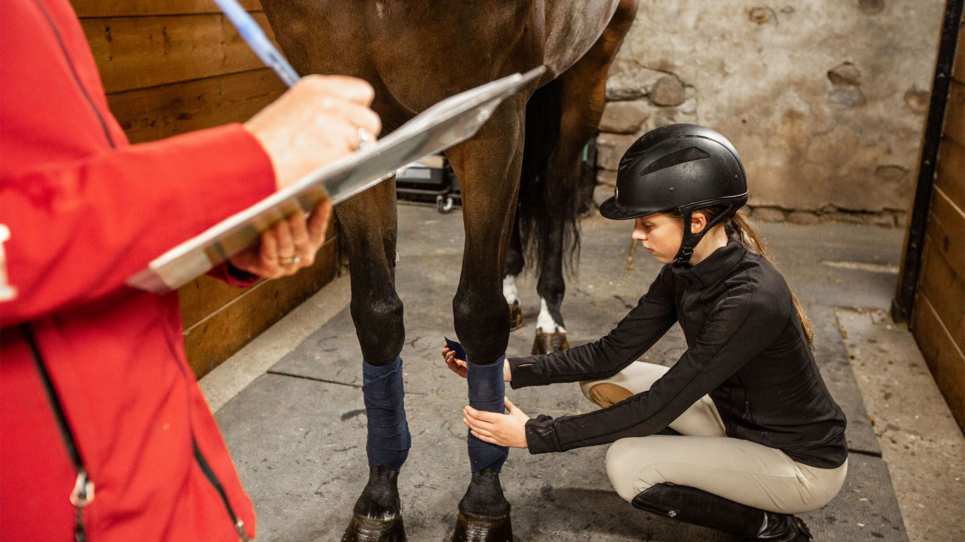 Equine Care Program: Introductory Course